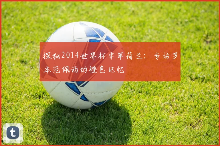 探秘2014世界杯季军荷兰:专访罗本范佩西的橙色记忆