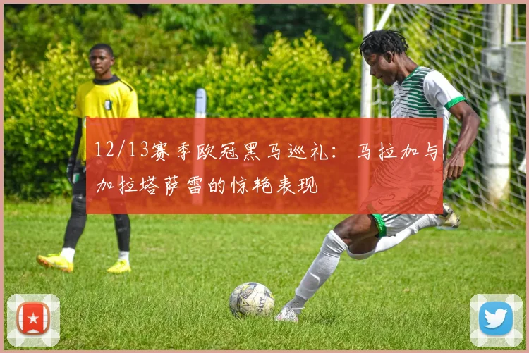 12/13赛季欧冠黑马巡礼：马拉加与加拉塔萨雷的惊艳表现